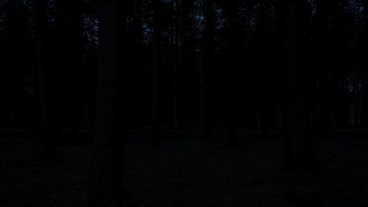 Breathing Trees