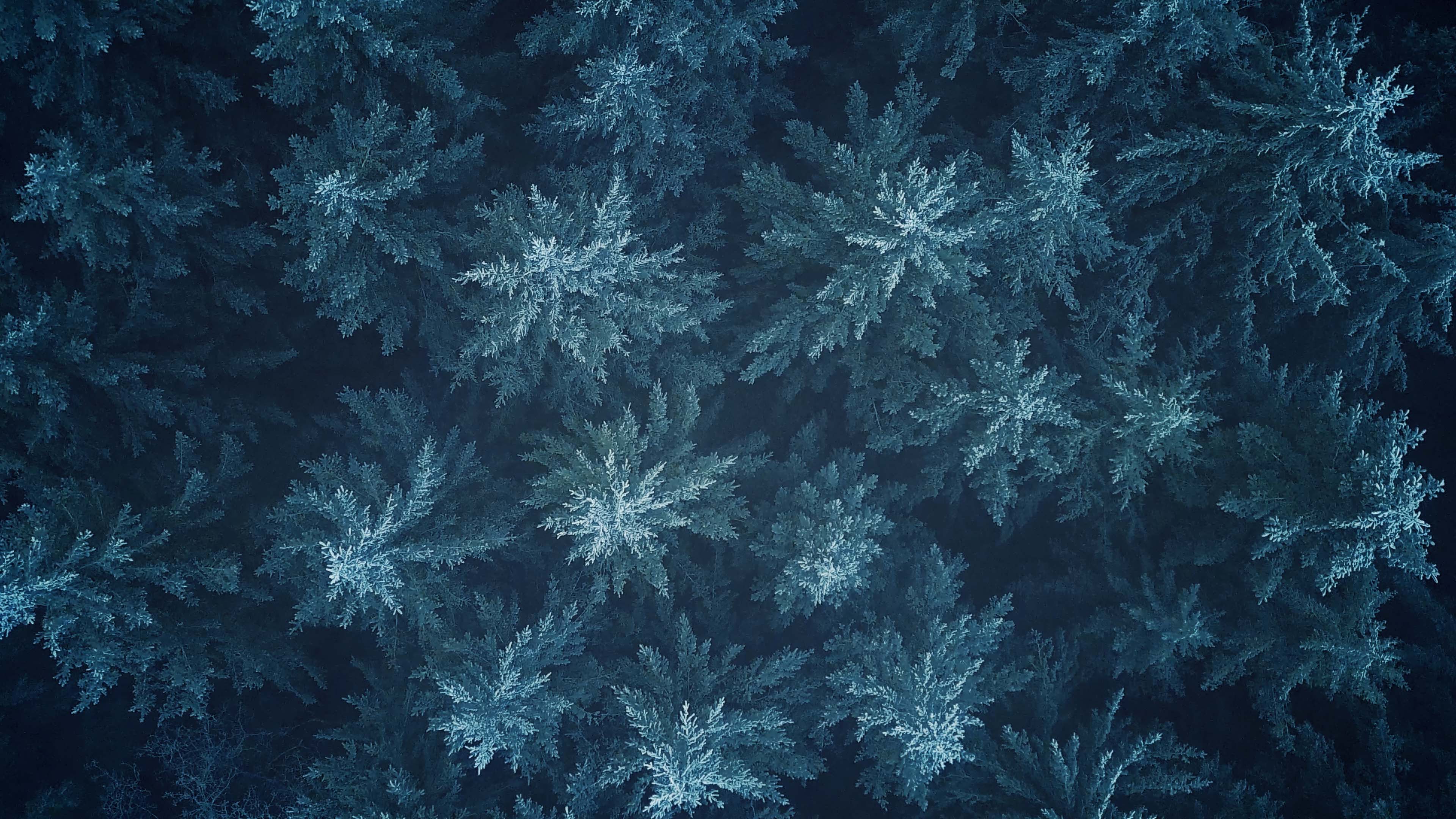 Breathing Trees